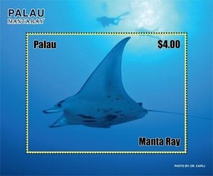 Palau 2019 - Manta Ray - Marine Life - Souvenir stamp sheet - Scott #1425 - MNH