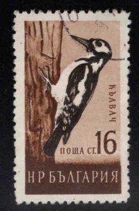 BULGARIA Scott 1052 Used Bird stamp