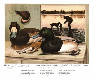 WARD BROS. SHOOTING BIRDS ARTIST JACK SCHROEDER BLUE BILLS, EST $250.00 344/450