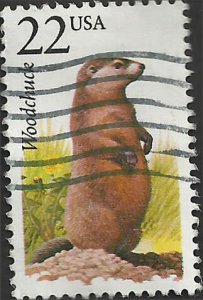 # 2307 USED WOODCHUCK