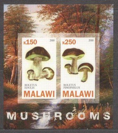 Malawi 2010 Mushrooms, imperf. sheet, MNH   S.119