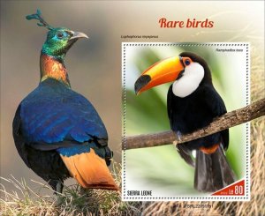 Sierra Leone - 2022 Rare Birds, Toco Toucan - Stamp Souvenir Sheet - SRL220511b1