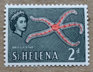 St. Helena 1961 2p Brittle Starfish, MNH. SEE NOTE. Scott 161, CV $0.25. SG 178