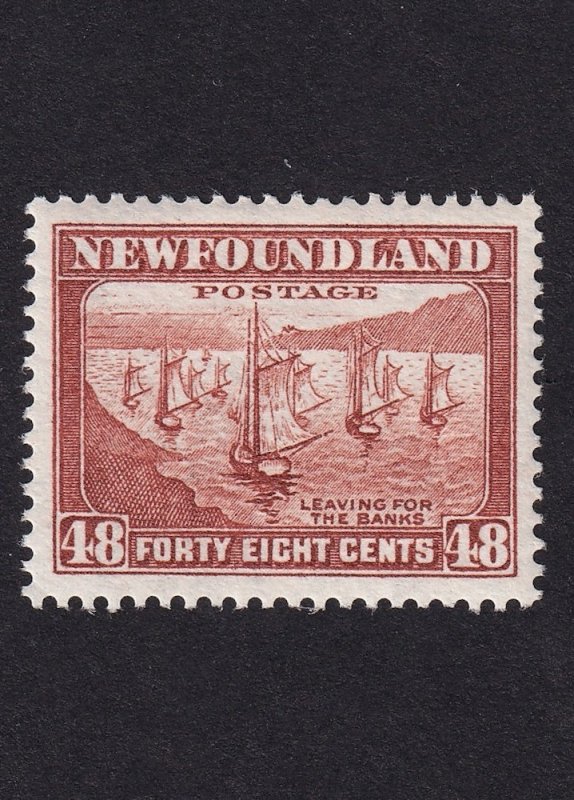 Newfoundland, Scott 199, Mint NH, VF