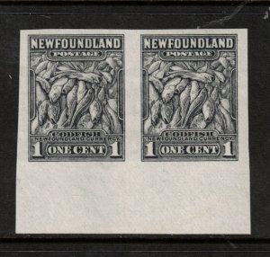 Newfoundland #253a Extra Fine Never Hinged Imperf Pair