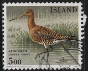 Iceland 665 (used) 5k birds: black-tailed godwit (Limosa limosa) (1988)