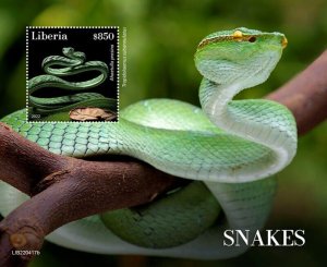 Liberia - 2022 Asian Vine Snake on Stamps - Stamp Souvenir Sheet - LIB220417b