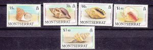 J26566 jlstamps 1988 Br colony montserrat mnh sea shell stamps part of set