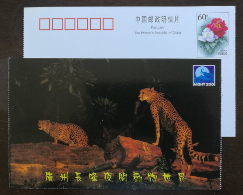 Felines animals Cheetah leopard,China 2001 guangzhou changlong night zoo PSC