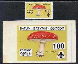 Batum 1994 Fungi - Fly Agaric 100r with Scout emblem, ori...