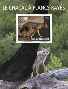 Togo - 2019 Side-striped Jackal on Stamps - Stamp Souvenir Sheet - TG190567b