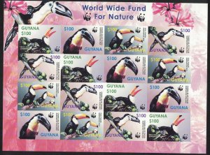 Guyana Birds WWF Toucans Imperf Sheetlet of 4 sets 2003 MNH SC#3792 a-d