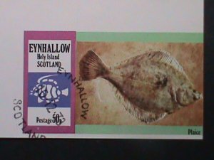 ​EYNHALLOW-SCOTLAND-PROMOTION SALES- LOVELY FISH CTO IMPERF S/S VERY FINE-RARE