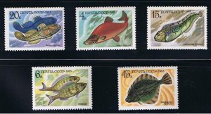 FISH = full set of 5 stamps = Russia 1983 Sc 5164-5168 MNH