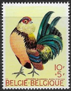 Belgium # B850 - Bearded Antwerp Bantam - MNH.....{T}
