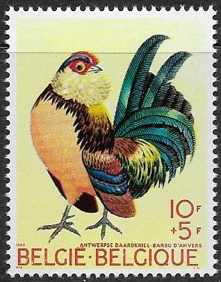 Belgium # B850 - Bearded Antwerp Bantam - MNH.....{T}