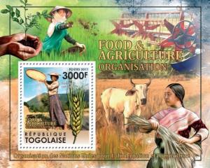 TOGO 2011 SHEET FOOD AGRICULTURE ORGANIZATION tg11319b