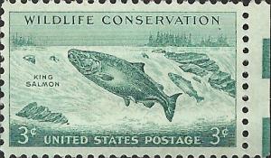 # 1079 MINT NEVER HINGED KING SALMON