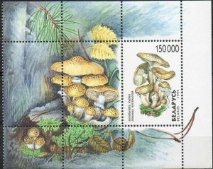 Belarus 1999 MNH Stamps Souvenir Sheet Scott 320 Mushrooms