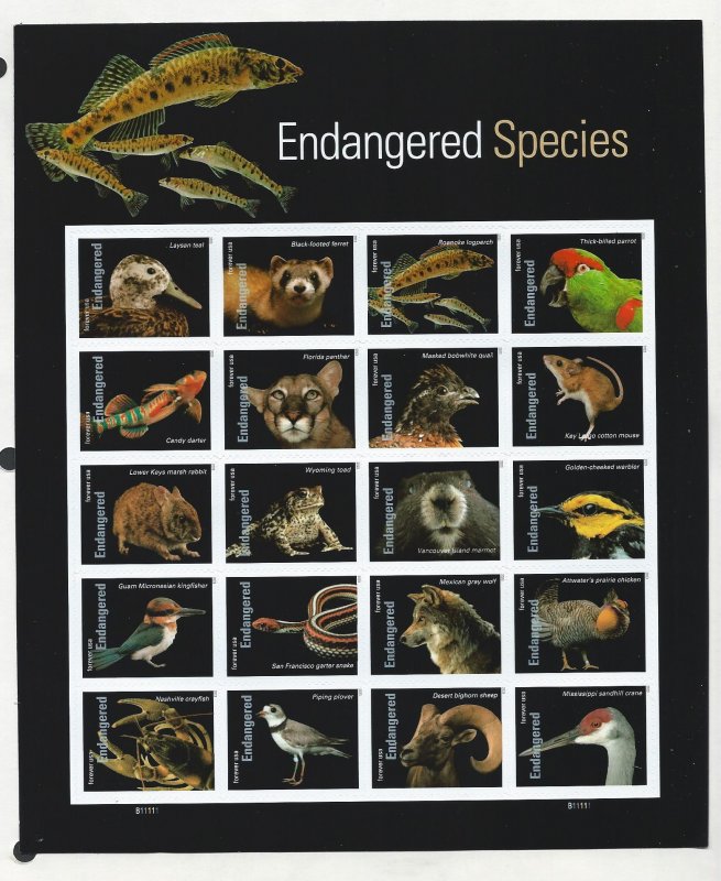 United States Endangered Species sheet multiple item mnh SC  5799