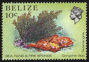 BELIZE Sc 705 VF/MNH - 1984 - 10¢ - Sea Fans & Fire Sponge