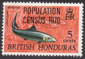 BRITISH HONDURAS Scott 251