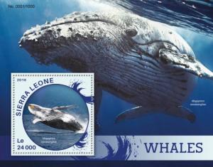 SIERRA LEONE 2016 SHEET WHALES MARINE LIFE srl16114b