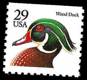 # 2484 MINT NEVER HINGED WOOD DUCK
