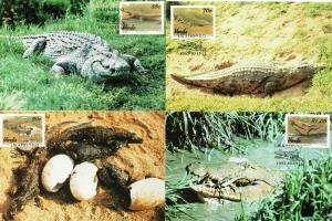 Venda - 1992 Crocodile Farming Maxi Card Set SG 243-246