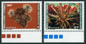 New Caledonia C175-C176,MNH.Michel 674-675. Noumea Aquarium 1981.Ecinometra