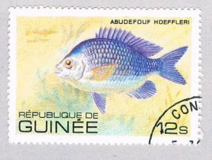Guinea 805 Used Fish Abudefuf 1980 (BP48502)