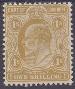 CAPE OF GOOD HOPE 1902 KEVII 1/-