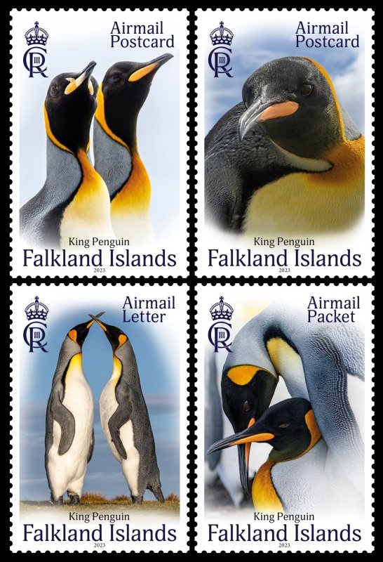 FALKLAND ISLANDS 2023 BIRDS KING PENGUINS OISEAUX VOGEL UCCELLO AVES