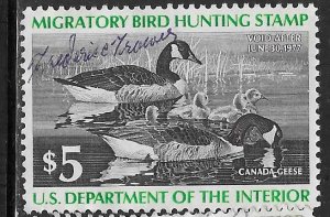 US #RW43  1977 $5.00  Federal Duck Stamp Family of Canadian Geese (U) $5.00