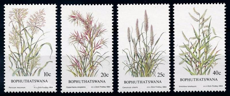 [66258] Bophuthatswana 1984 Flora Plants Grass  MNH