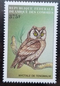 *FREE SHIP Comoros Owls 1999 Bird Of Prey Fauna (stamp) MNH