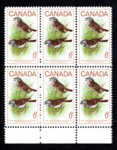 496, Scott, 6c, MNHOG, Block of 6 with selvedge, White Throated Sparrow, 1969