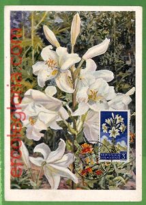 32438 - San Marino - MAXIMUM CARD - Flowers-