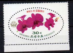 NORTH KOREA - 2017 - FLOWERS - ORCHIDS -