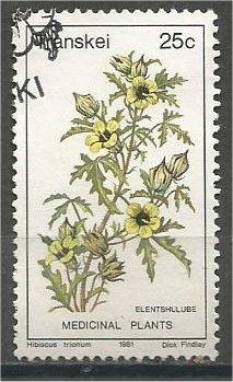 TRANSKEI, 1981, CTO 25c, Medicinal plants. Scott 35