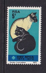 South Africa  #373  MNH  1972  cats  .   SPCA