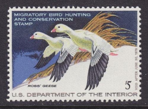 US Sc RW44 MNH. 1977 $5 Ross' Geese Duck Stamp, VF