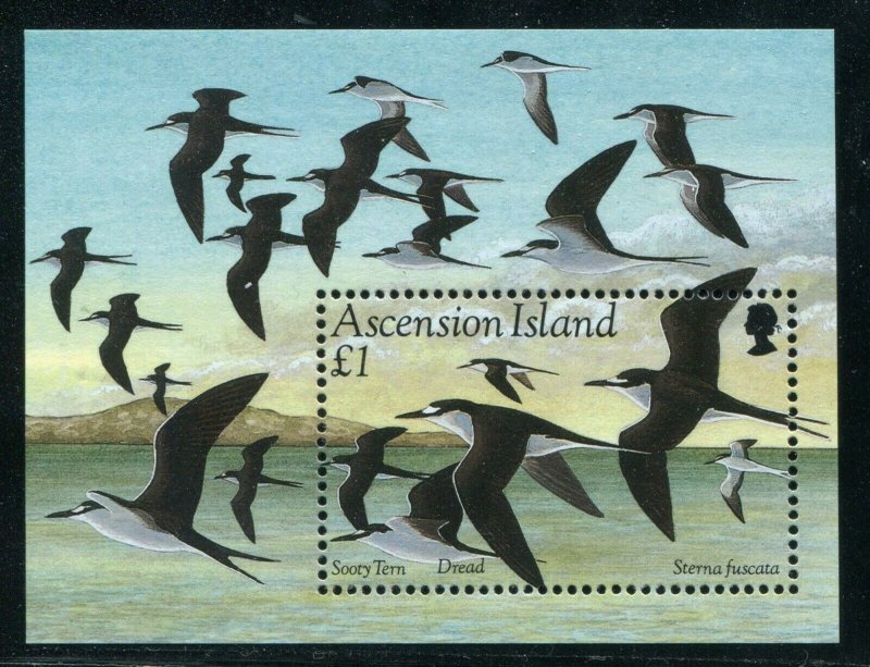 Ascension Island 1994 Sc 598 Birds Tern CV $6.50