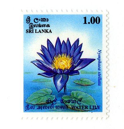 SRI LANKA 1115 MNH SCV $1.25 BIN $.75 FLOWERS
