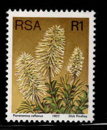 South Africa Scott 490a Flower stamp MNH** 1977 perf 14