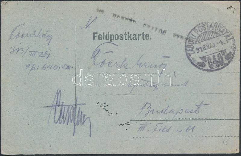 Hungary cover Austria-Hungary  field postcard 1918  WS235194