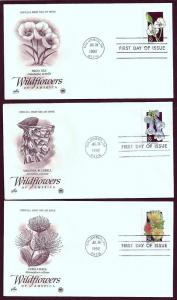 UNITED STATES FDCs (50) 29¢ Wildflowers 1992 Postal Commem