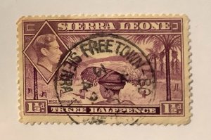 Sierra Leone 1941 Scott 175a used - 1.½p, King George VI & Rice harvesting