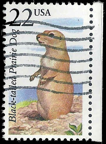 US - #2325 - Used - SCV-0.50