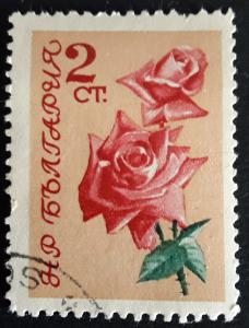 Bulgaria, Flower, Europe, №24-T